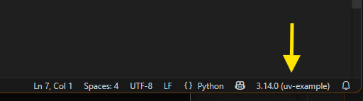VSCode Selected Interpreter
